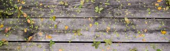 wood and leaves